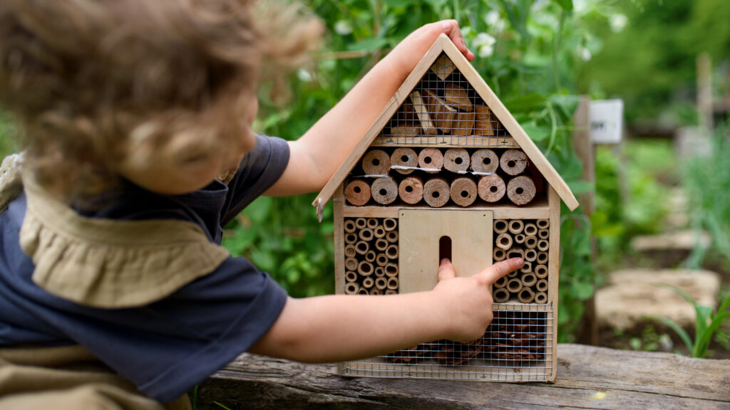 little girl playing with insect house
